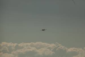 mg_3638