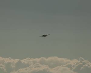 mg_3639