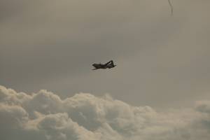 mg_3647