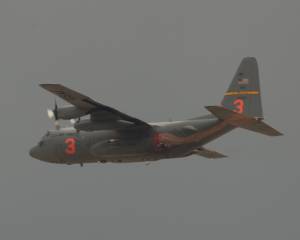 mg_3701
